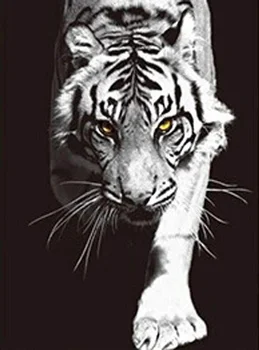 Savvaļas Lauva, Tīģeris Metāla zīmju 8x12 Collu Mājas Kithcen Birojs Guļamistaba, Dzīvojamā Istaba, Sienas Dekori 21
