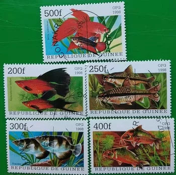 5 GAB,Gvineja,1998,Zivju Zīmogs,Dzīvnieku Zīmogu,Spiedogu Kolekcija,ko Izmanto ar Amata Zīmi