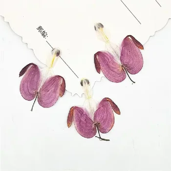 100gab Nospiests Žāvēti Calceolaria Purpura Ziedu, Lapu Augu Herbāriju Nail Art Rotaslietas Grāmatzīmi Telefonu Gadījumā Seja c Kartes DIY