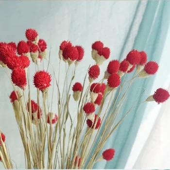 20pcs žāvētu ziedu pušķi, protams, dired Gomphrena globosa pušķi&pasaulē amarants Ziedu ķekarus