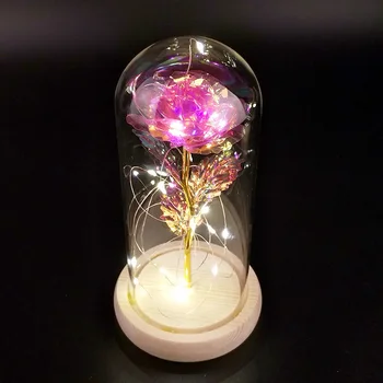 Ir 2021. LED Enchanted Konservēti Rozes Stikla Galaxy Rose Puķu LED Gaismas Mākslīgie Ziedi Ziemassvētku Valentine Dāvanu Meitenēm 2