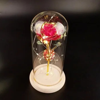 Ir 2021. LED Enchanted Konservēti Rozes Stikla Galaxy Rose Puķu LED Gaismas Mākslīgie Ziedi Ziemassvētku Valentine Dāvanu Meitenēm 3
