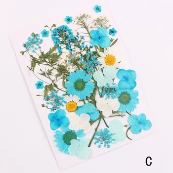 Nospiests Ziedu Jaukti Organiskie sausie Ziedi DIY Mākslas Ziedu Dekoriem Kolekcija Dāvanu SEC88